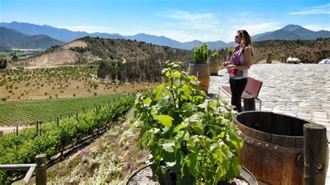 wine tours from santiago